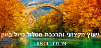 ייעוץ מקצועי יוון